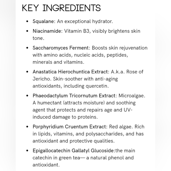 Ellis Brooklyn | Satisfying Skin Care Moisturizer - Picture 6 of 6